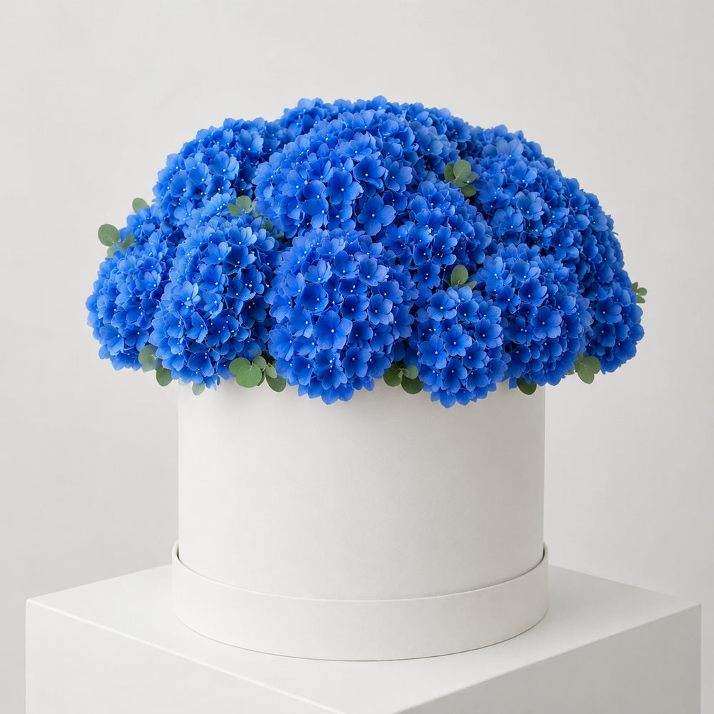 Cappelliera Ortensie Blu – Fiori, Deluxy Business, vista 2