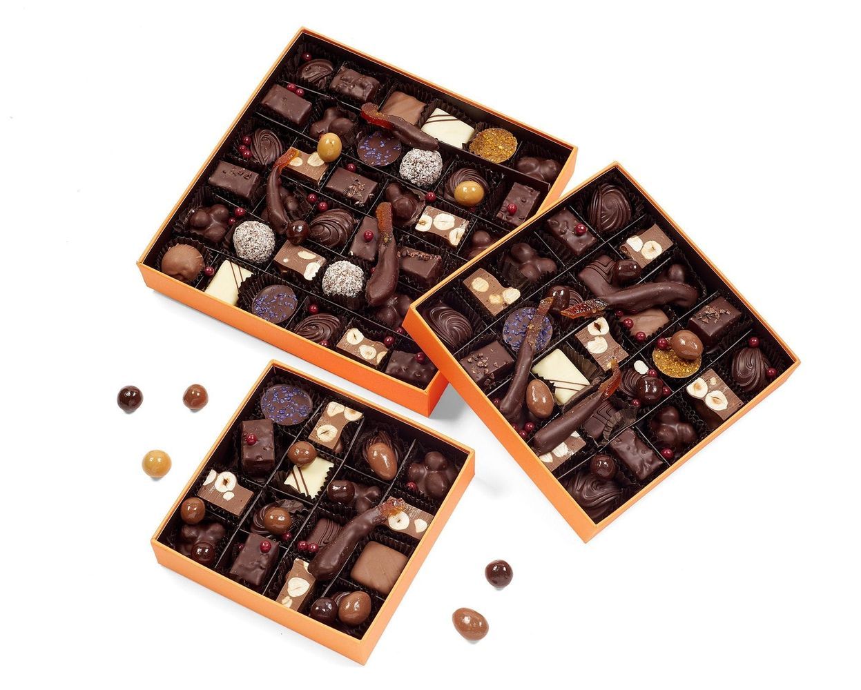 Pregiate Praline - Martesana